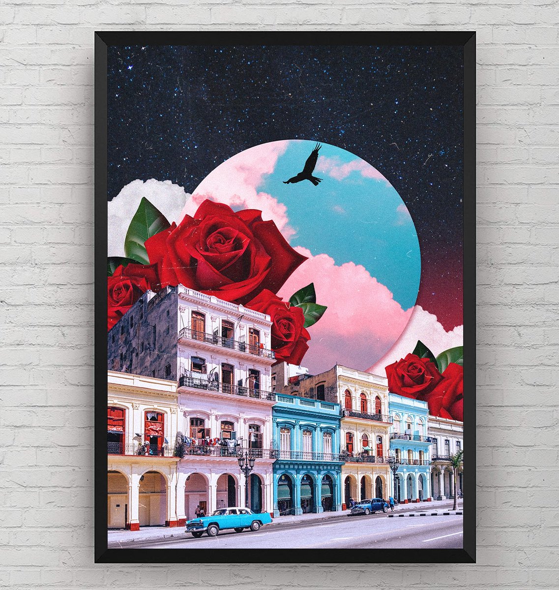 Cuba&Roses by Darius Comi