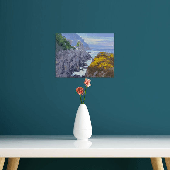 Late Morning At Point Lobos