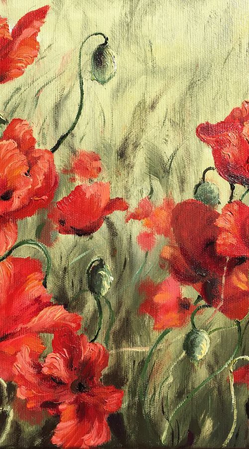 Free poppies by oana voda