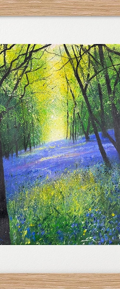 Carpet of Bluebells by Teresa Tanner
