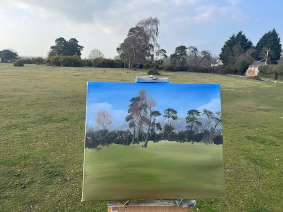 Canada Common New Forest