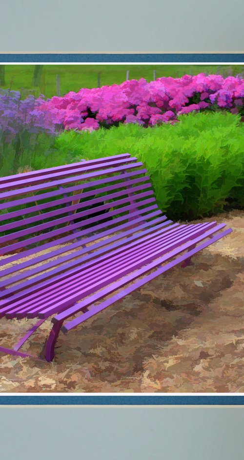 Purple Bench by Robin Clarke