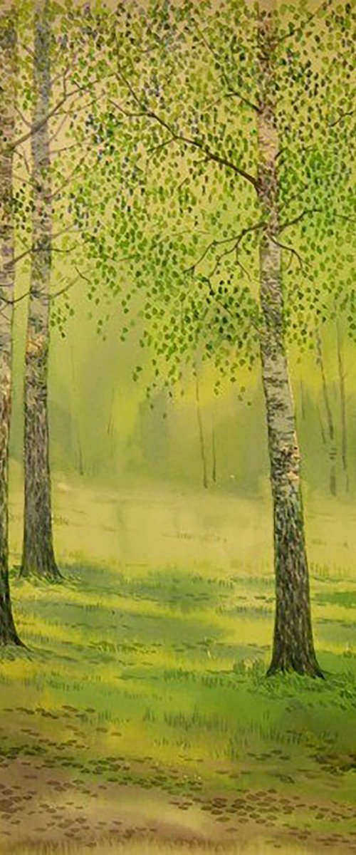 May. Birches by Valeriy Savenets-1