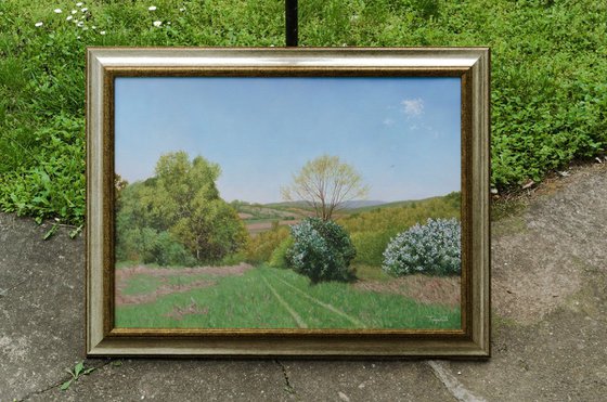 The Meadow in Spring