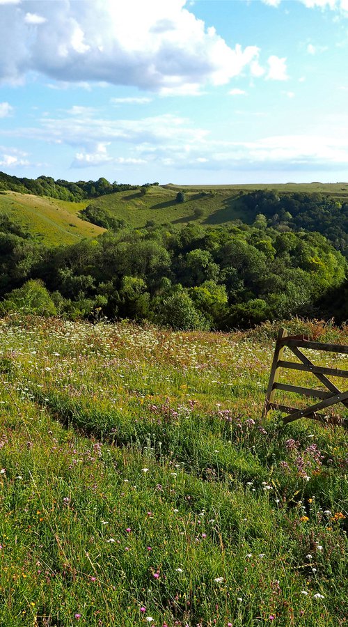 Mid Summer on Old Winchester Hill by Alex Cassels