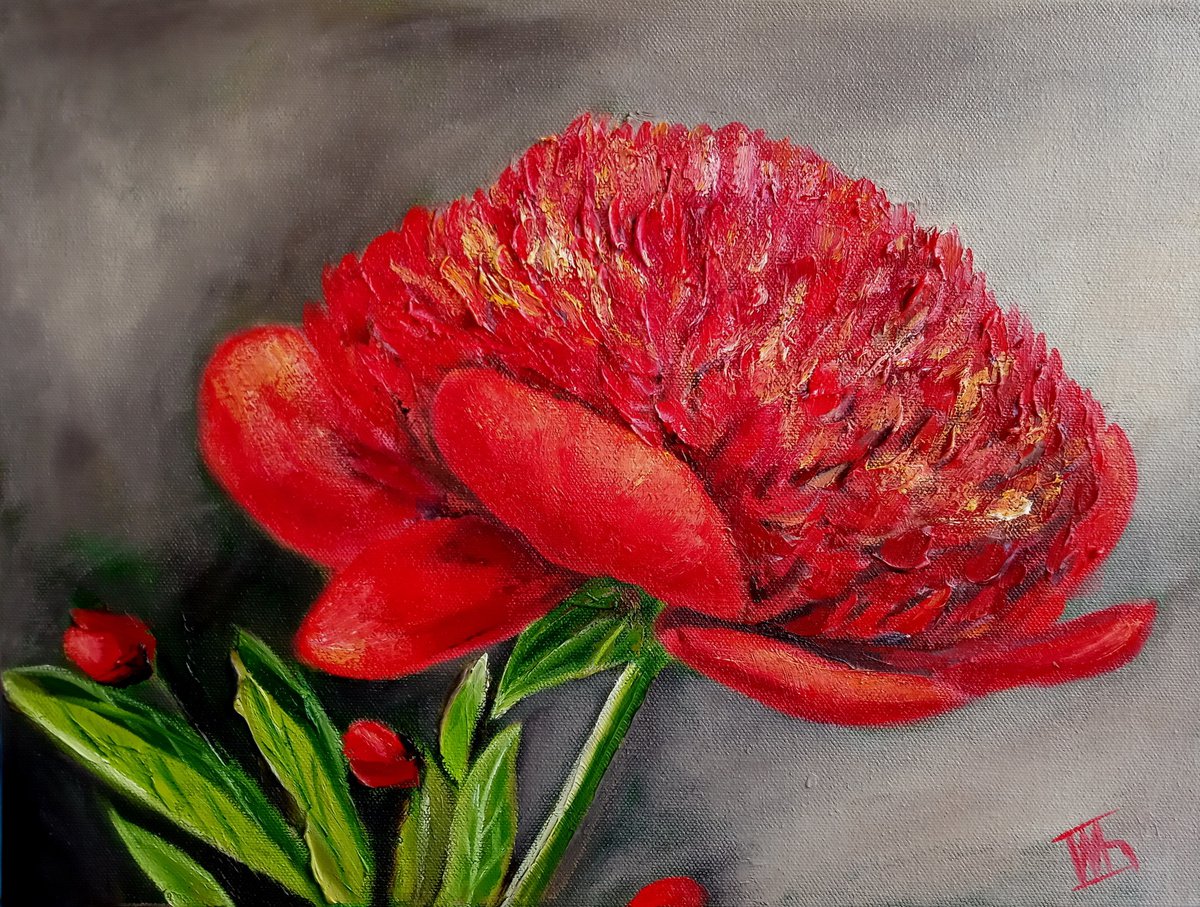 Bloom red Peony by Ira Whittaker