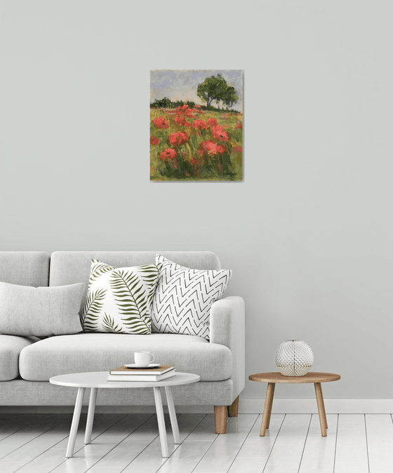 Poppies