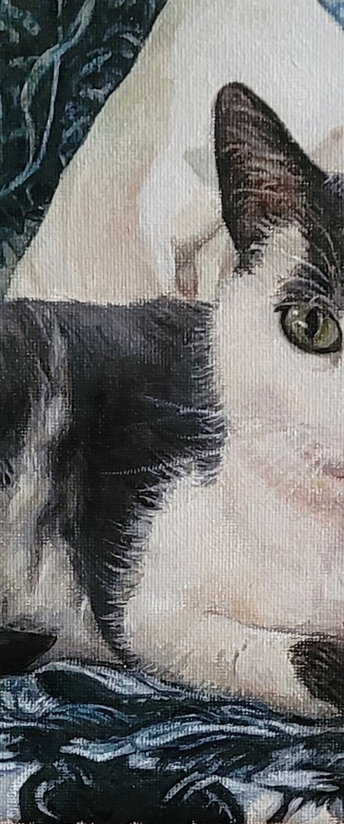 Commission Portrait of Mr. Milo by QI Debrah