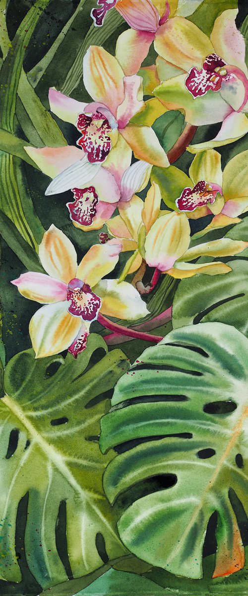 Orchid flowers and monstera leaves by Delnara El