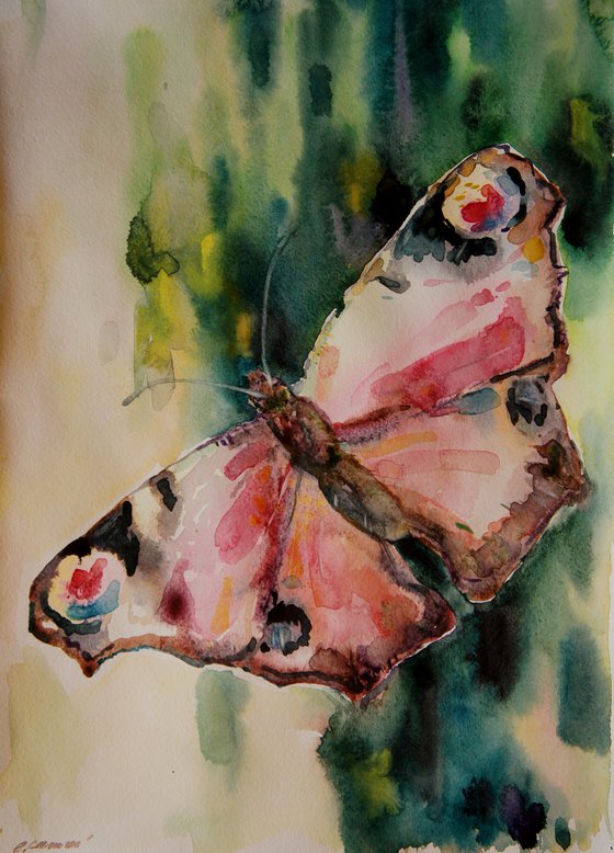 Butterfly