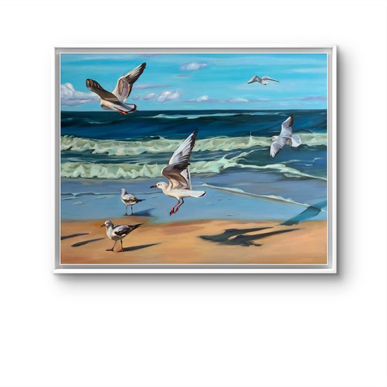 Sea seagulls