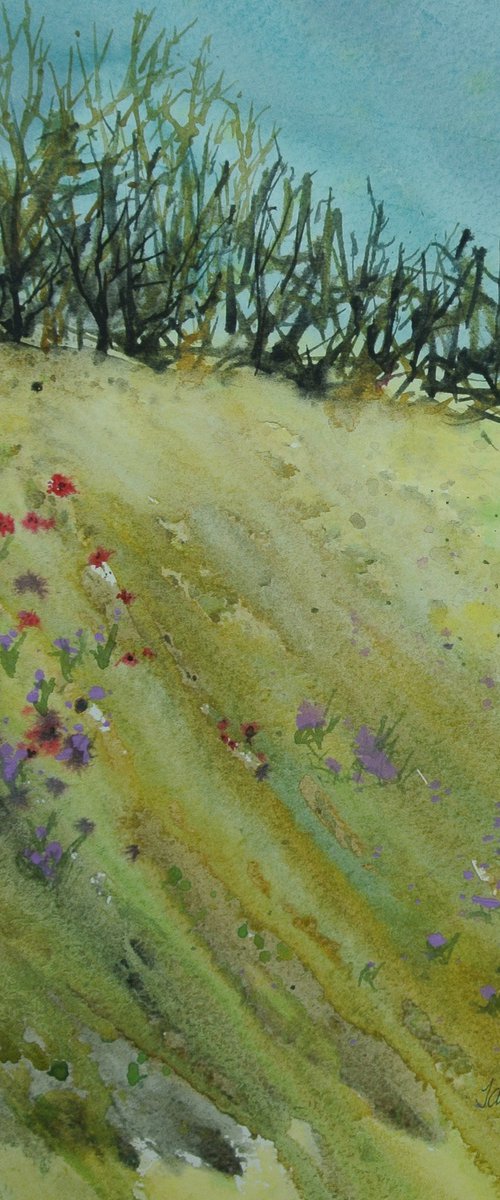Cornish Hedgerow by JANE  DENTON