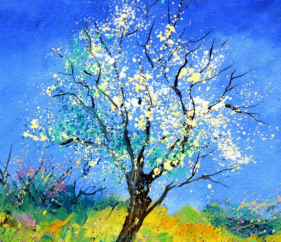 Spring in my countryside - 8624