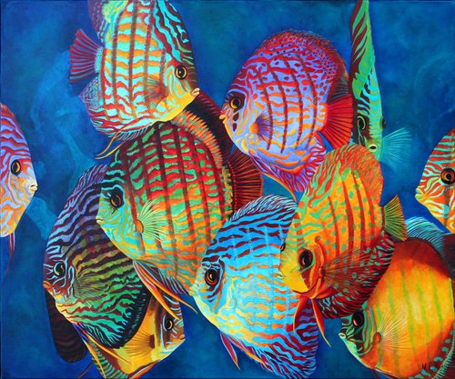 Curious Discus by Micheline Lamarre Hadjis