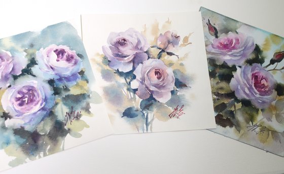 Triptych / Novalis roses