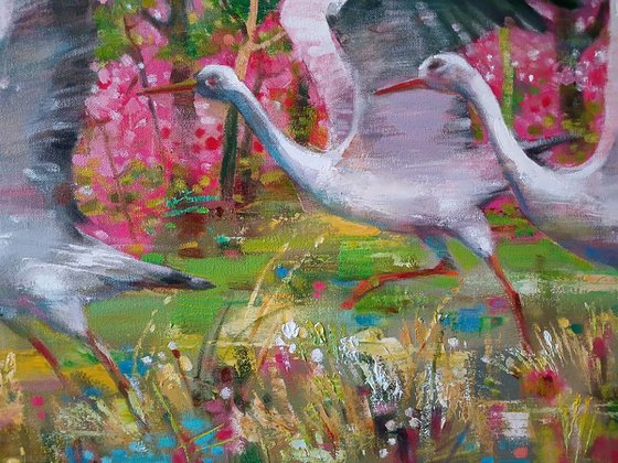 Storks on a Flower Meadow