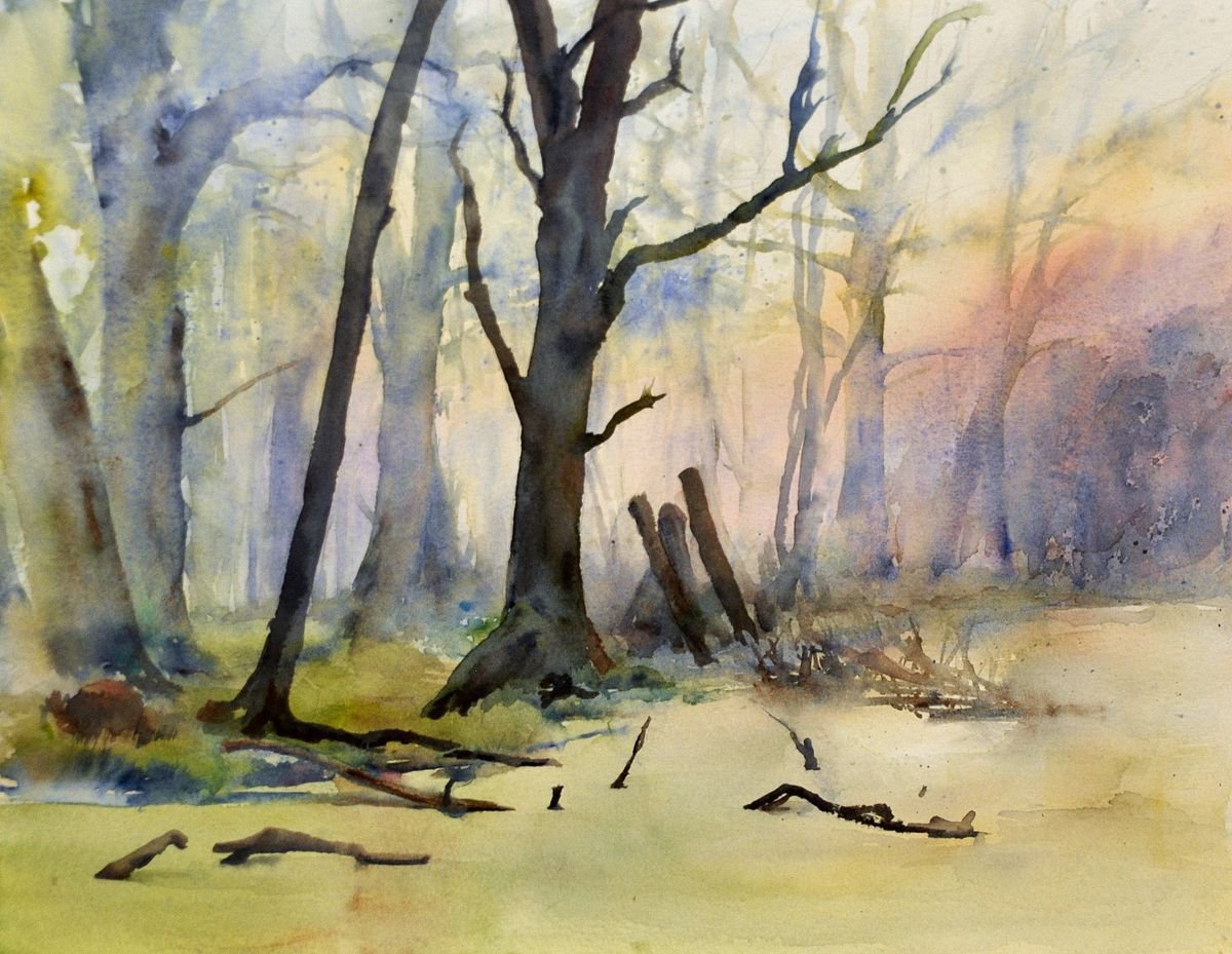 MARSH. EARLY MORNING original watercolour 40x32 cm by Beata van Wijngaarden