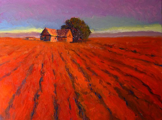 Dusk in the Farms. Red Farmland