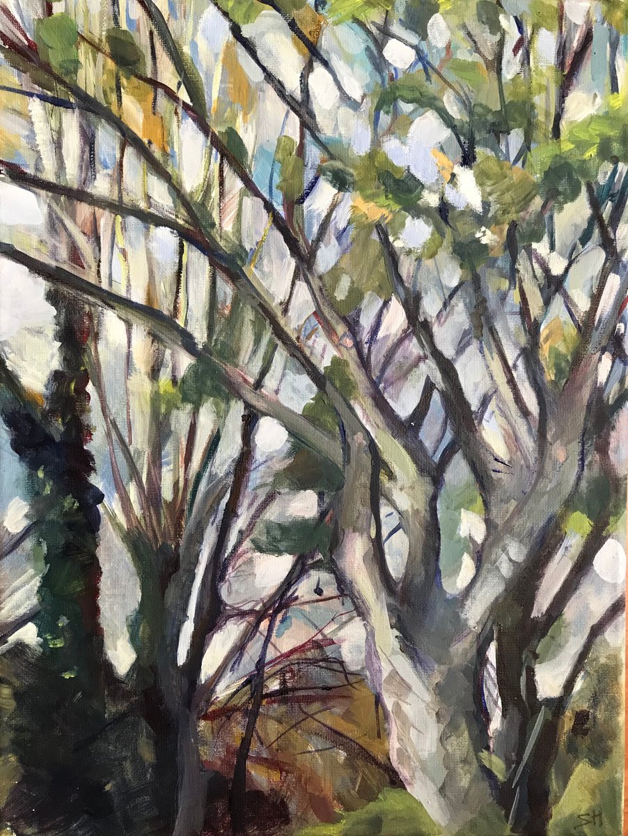 Spring Trees By Sandra Haney, 12 X 16, Artwork For Sale On Artfinder