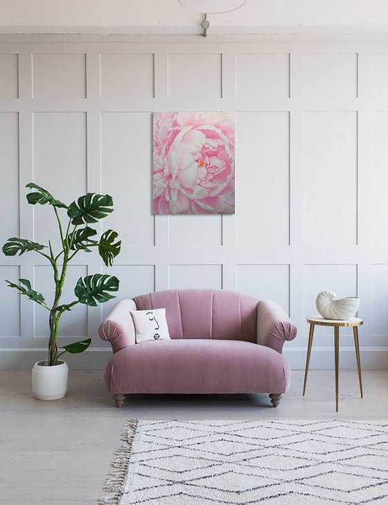 Divine Peony
