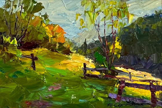Autumn Mountain Meadows