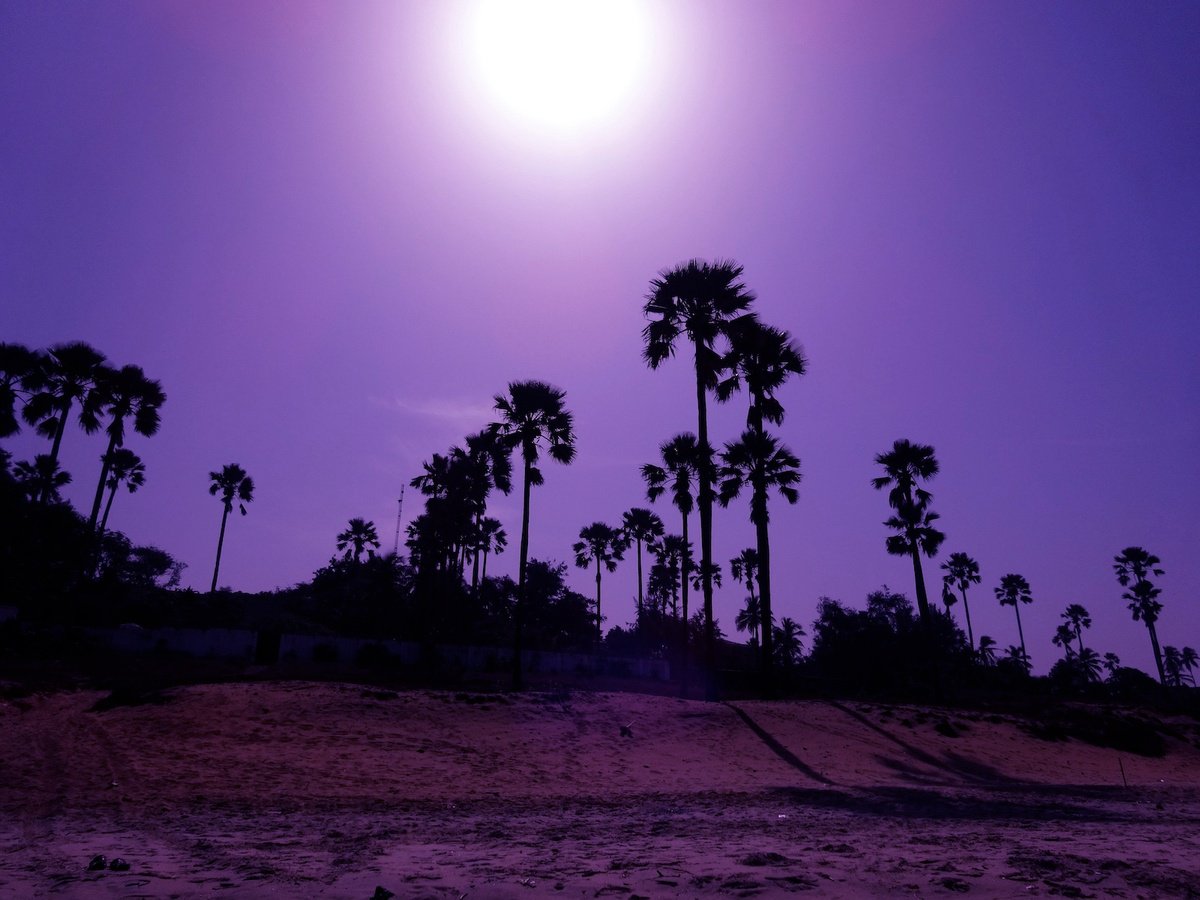 Landscape Photograph By Mel Davies Original Art, 17 X 12", Evening In The Gambia, Original Artwork
