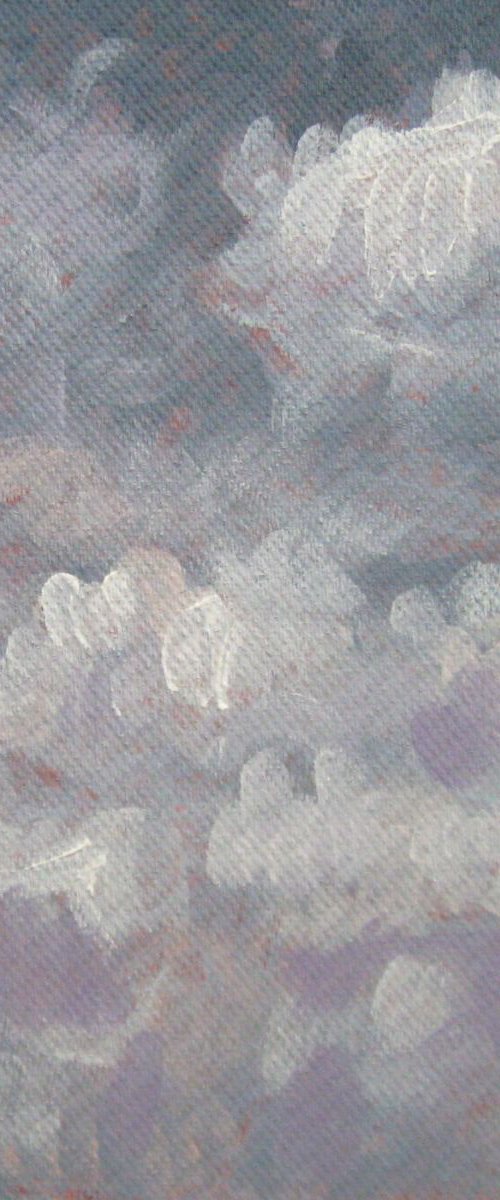CLOUDS 5 (STUDY) by LENKA STASTNA