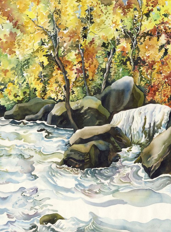 Falling into Autumn
