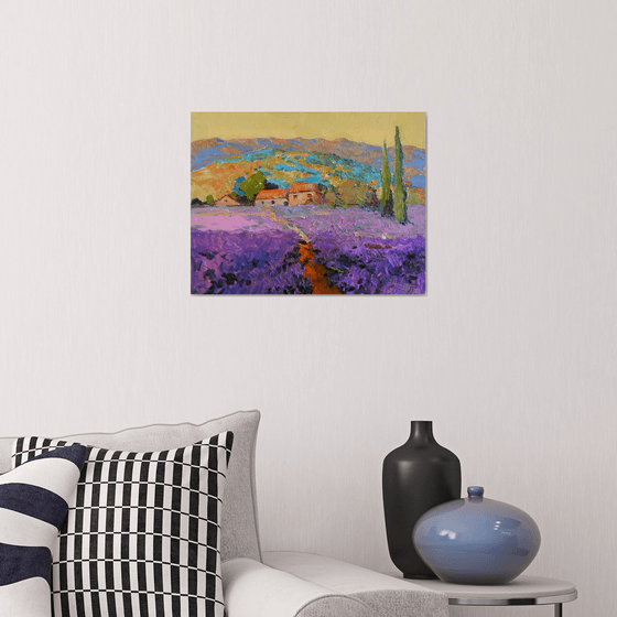 Lavender Field. Landscape