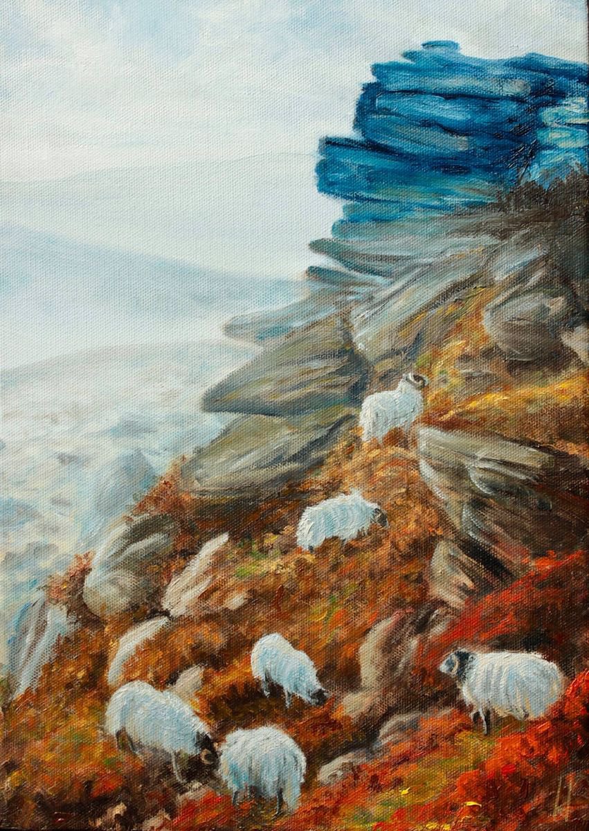 Fell Sheep by Kristi Herbert