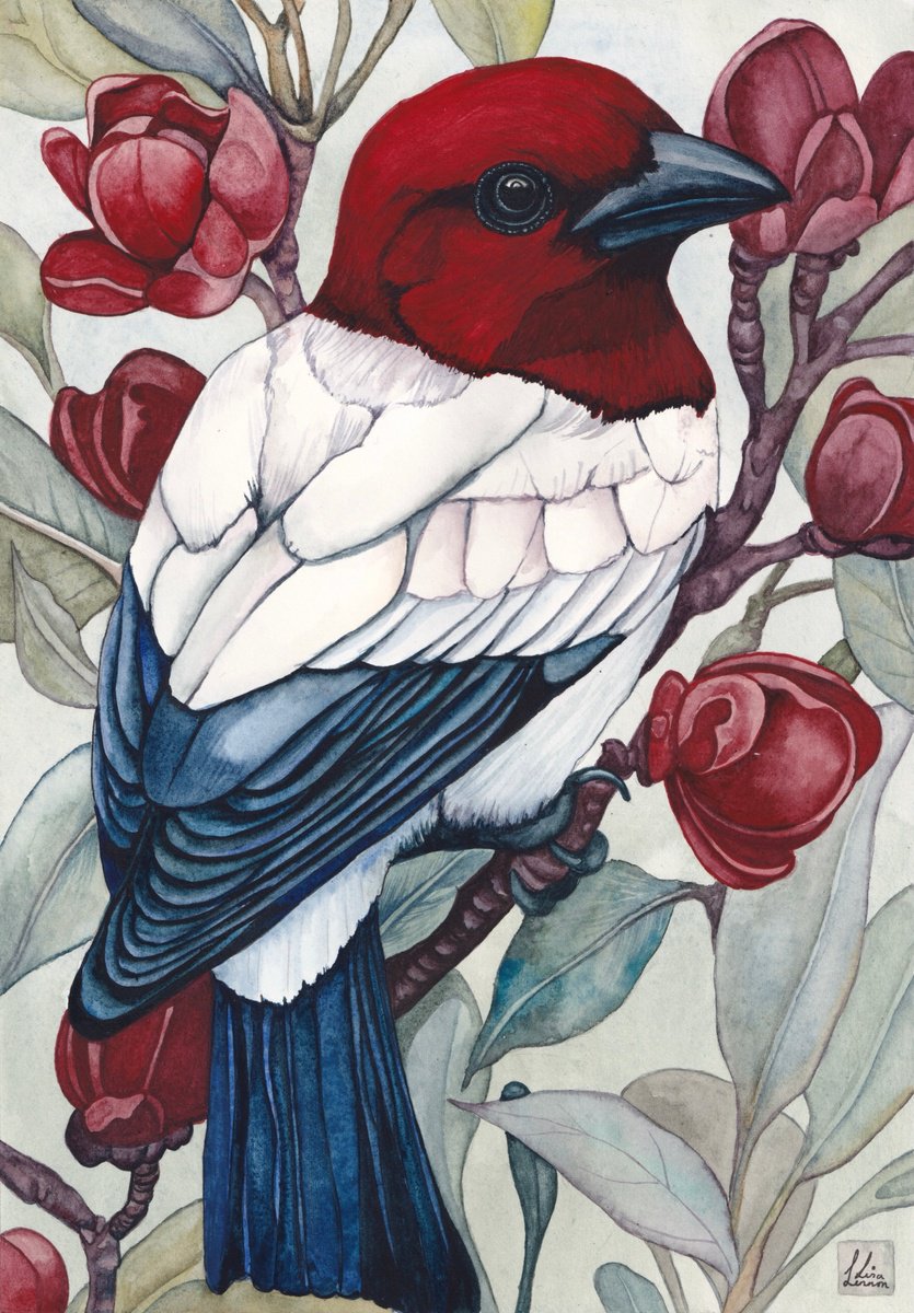 Animal Watercolour By Lisa Lennon, 8 X 12", Crimson Headed Bird, Original Artwork