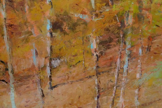 Forest 1.