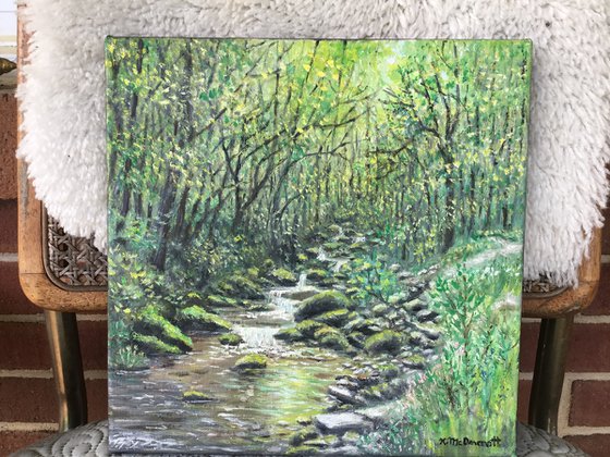 CREEK NEAR OLD FORT NC   (SOLD)