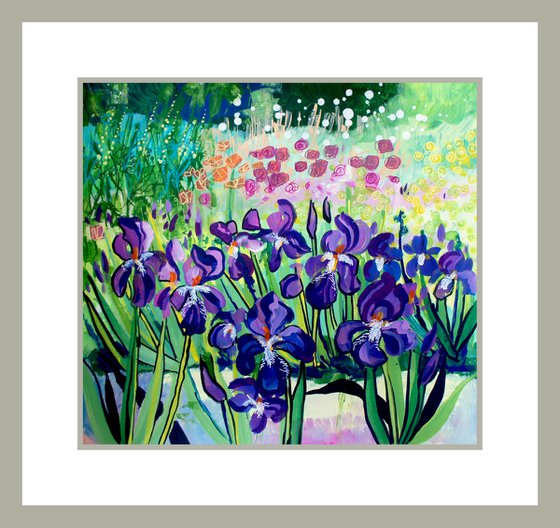 Iris Border