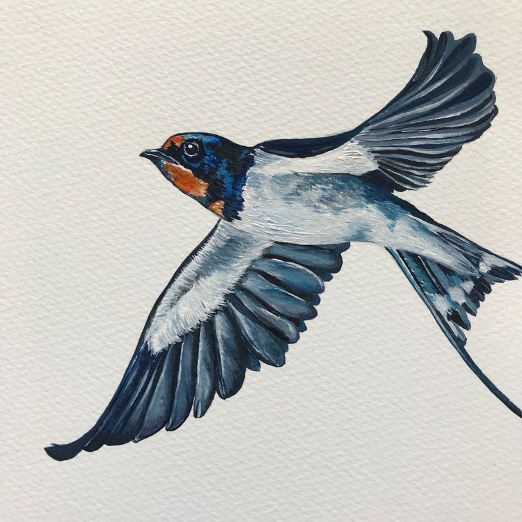 Swallow Acrylic Painting By Karen Elaine Evans Artfinder