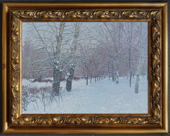 Snow-covered boulevard in Maryino