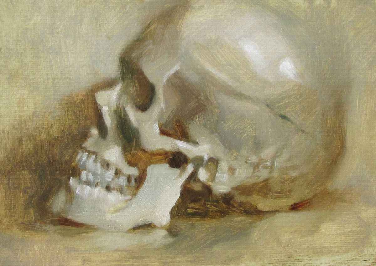 Skull by Alex Kelly