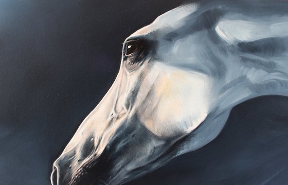 Faith is born in tenderness