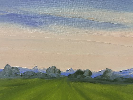 Sunset over the field. Plein air