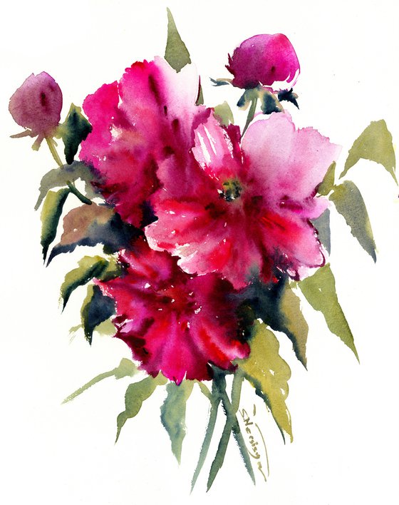 Peony Flowers