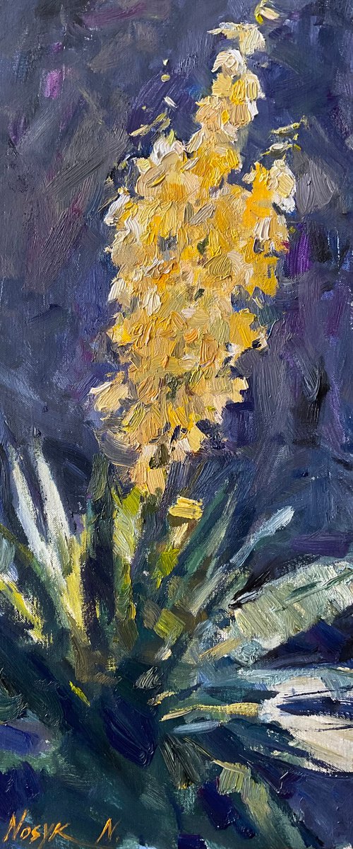 Sunny Mimosas by Nataliia Nosyk
