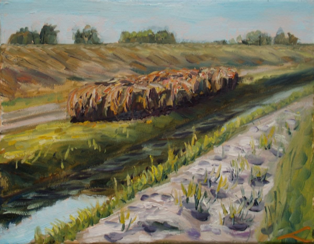 Haystacks in Westland by Elena Sokolova