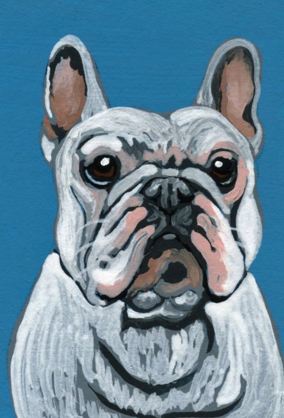 ACEO ATC Original Miniature Painting White French Bulldog Pet Dog Art-Carla Smale