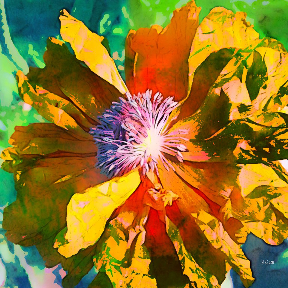Golden - Flame Poppy Series, Number One by Barbara Storey