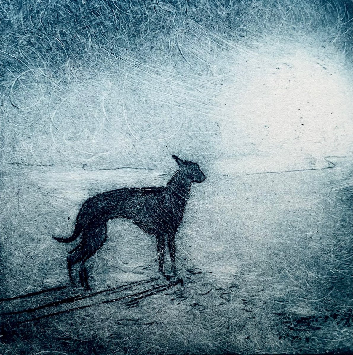 Illustrative Animal Etchings & Engravings By Rebecca Denton, 6 X 6", Whippet, Original Artwork