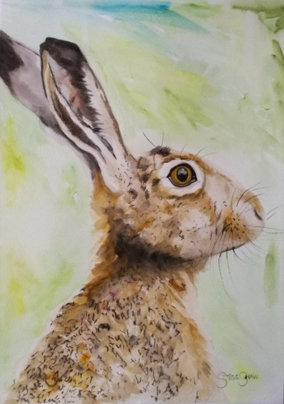 The Hare. Watercolour Animal Art on paper. 30cm x 42cm. Free Shipping