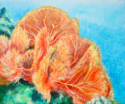 Giant Sea Fan by Jacqueline Talbot