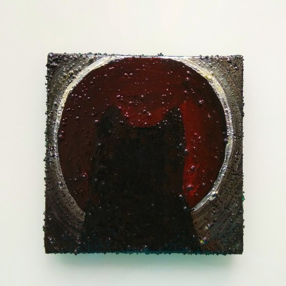 "Cat looking to eternity"