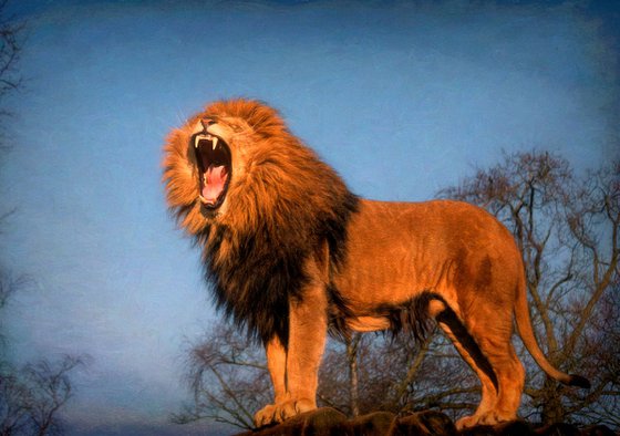 Roaring Lion