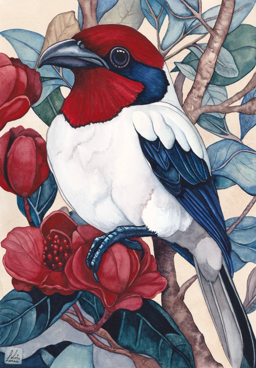 Animal Watercolour By Lisa Lennon, 8 X 12", Crimson And Blue Headed Bird, Original Artwork